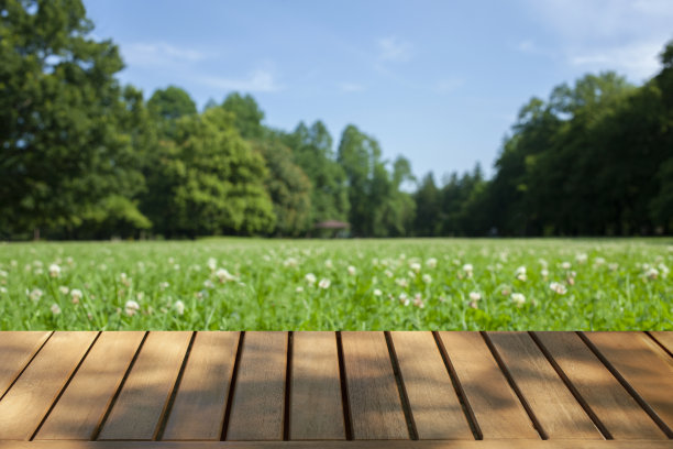 木桌子与公园bokeh背景图片下载