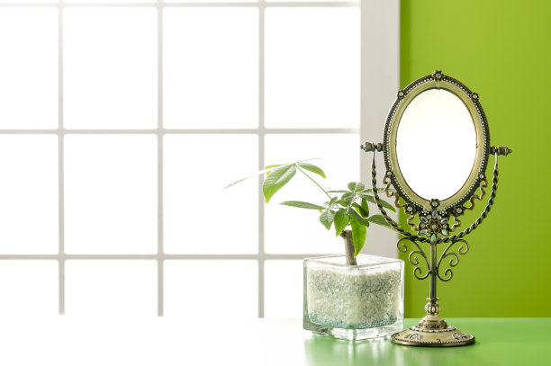 树叶植物，镜子和窗户图片下载