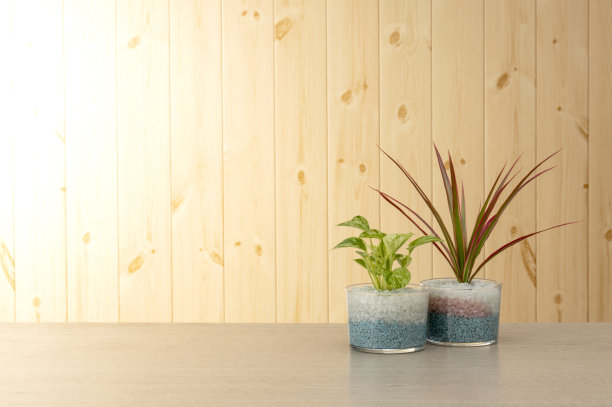 观叶植物图片下载