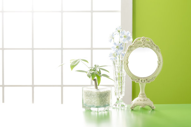 树叶植物，镜子和窗户图片下载