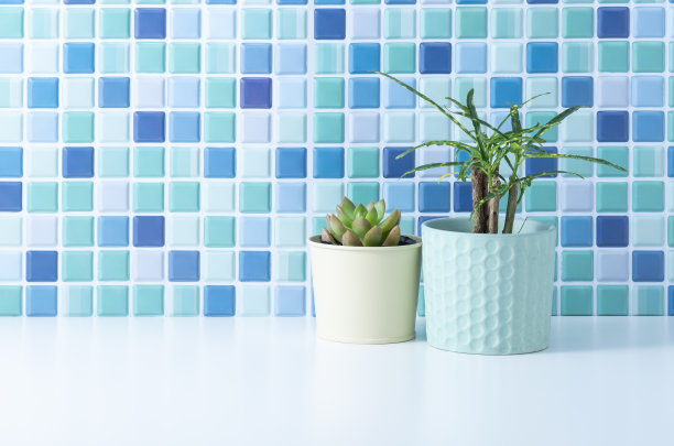 观叶植物图片下载