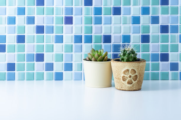 观叶植物图片下载