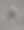 年轻肌肉男子的肖像，芭蕾舞者表演孤立在深灰色的工作室背景。蜕变图片下载