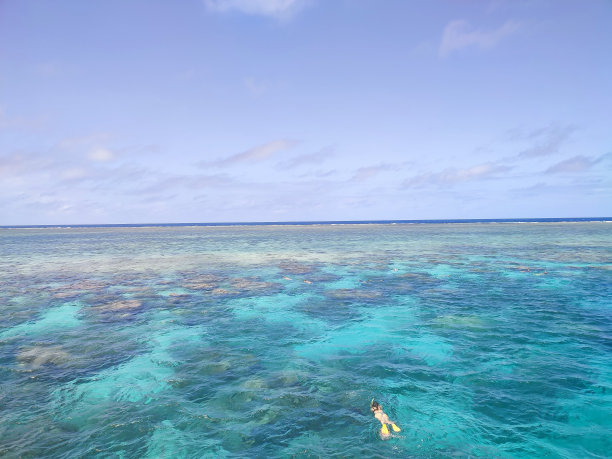 浮潜者在大堡礁游泳图片下载