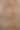 棕榈树树干纹理特写照片图片下载