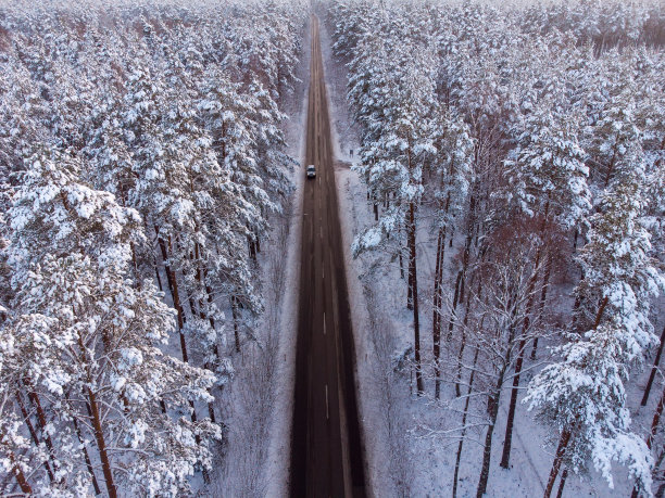 道路穿过森林在冬天的风景。图片下载