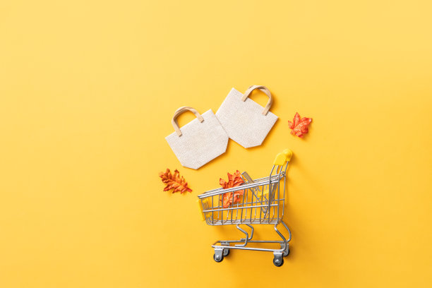 秋季购物设计的概念背景与购物车和枫叶。图片下载