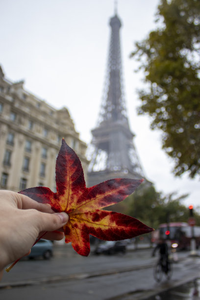 在埃菲尔铁塔的背景下，女孩手里拿着一片黄色的秋叶。秋天的巴黎和埃菲尔铁塔。巴黎是欧洲最佳旅游目的地图片下载