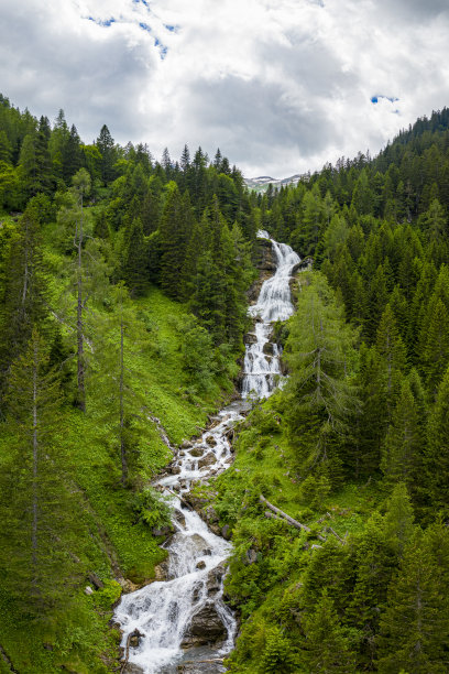 森林里美丽的瀑布图片下载
