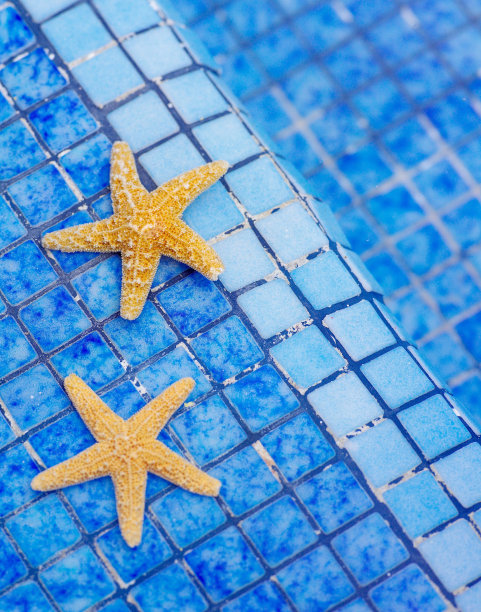 垂直拍摄的海星在蓝色的石头表面图片下载
