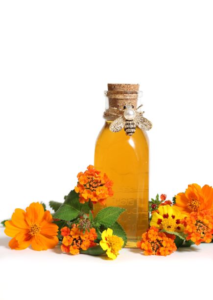 新鲜的本地蜂蜜，白色背景的蜂巢和花朵图片下载