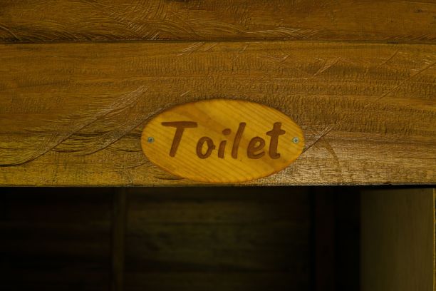 门上木制厕所标识的特写镜头图片下载