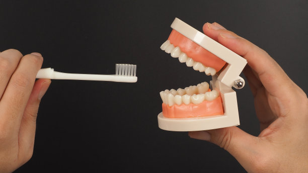 正畸模型的牙齿和手中的牙刷在黑色背景。图片下载