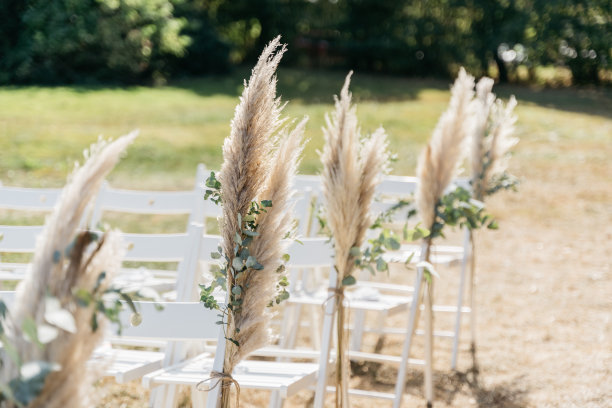 户外免费婚礼上，潘帕斯草和桉树作为椅子装饰图片下载