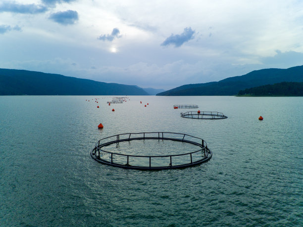 圆网养殖淡水鱼。欧洲的Rhodope山脉图片下载