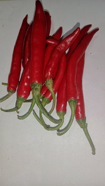 辣椒图片下载