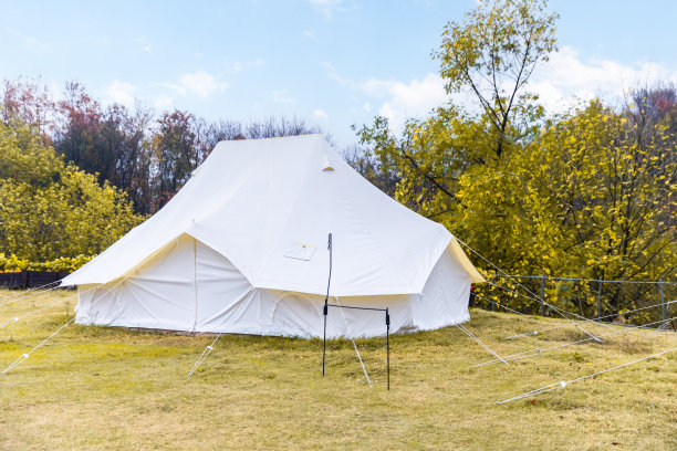 营地里的露营帐篷图片下载