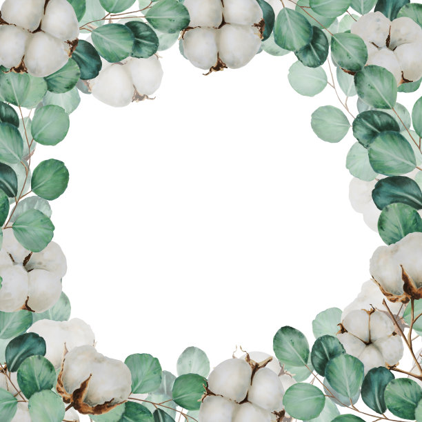 框架与棉花花和桉树树枝水彩图片下载