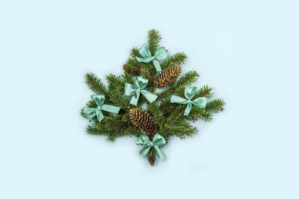 圣诞树。寒假概念，明信片。平的。副本的空间。图片下载