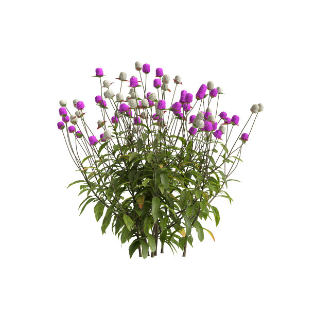 在白色背景上分离的球形花的3d插图图片下载