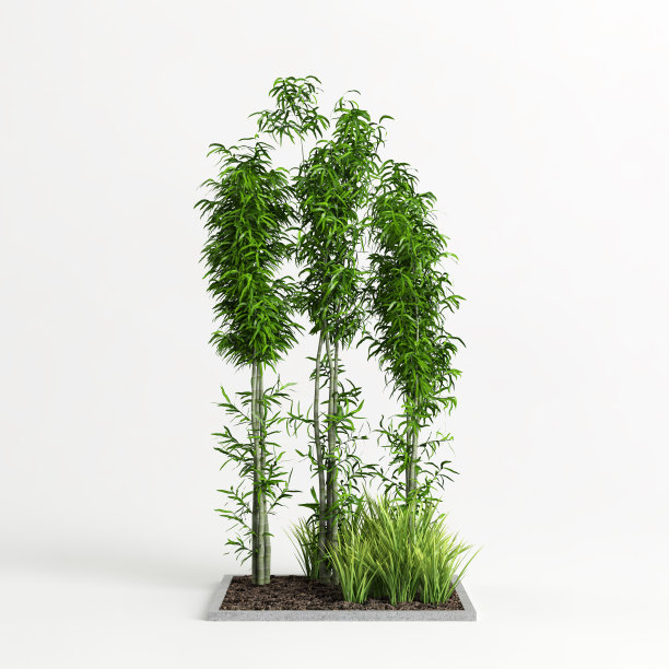 白色背景上孤立的竹子的3d插图图片下载