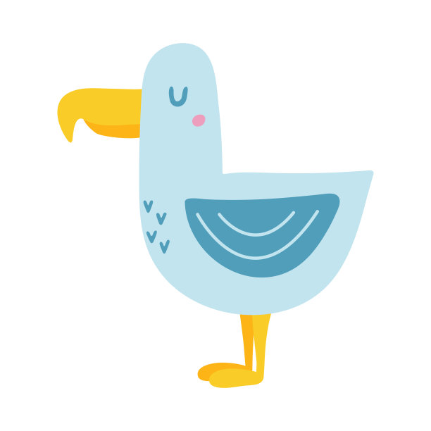 可爱有趣的海鸥。图片下载