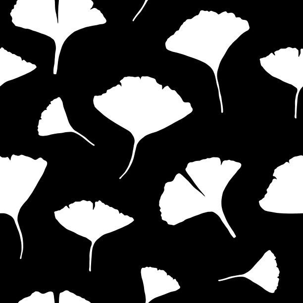 银杏叶质地黑白分明图片下载