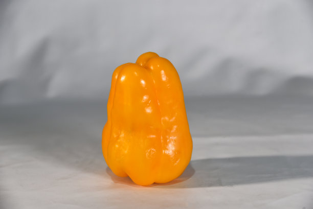黄色的甜椒是辛辣蔬菜，天然蔬菜用于食品调味隔离在白色背景图片下载