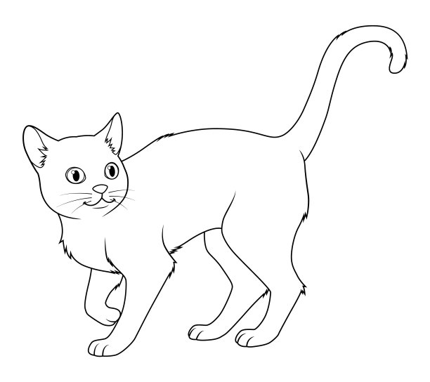 孟买猫卡通动物插画BW图片下载
