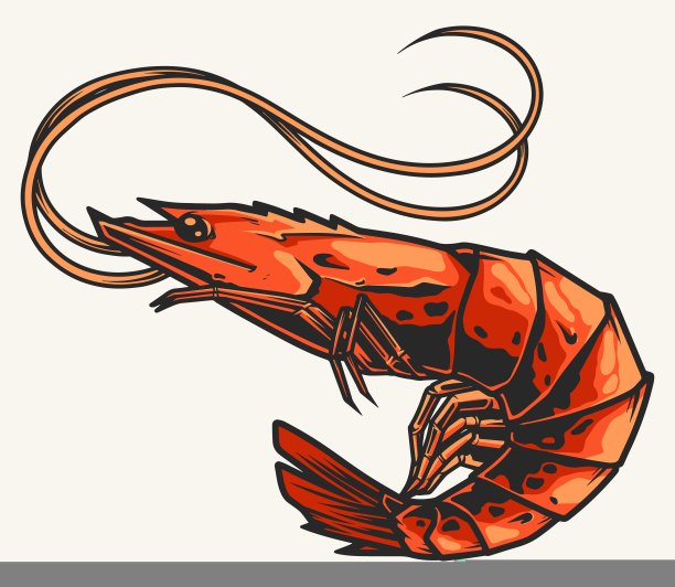 海洋虾详细的彩色标识图片下载