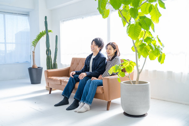 一对微笑的夫妇坐在沙发上，客厅里有明亮的树叶。图片下载