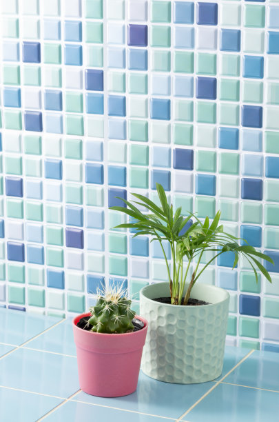 观叶植物图片下载