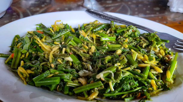 蔬菜蕨类植物图片下载