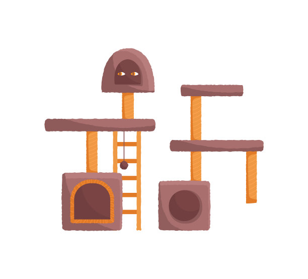 教练的猫图片下载