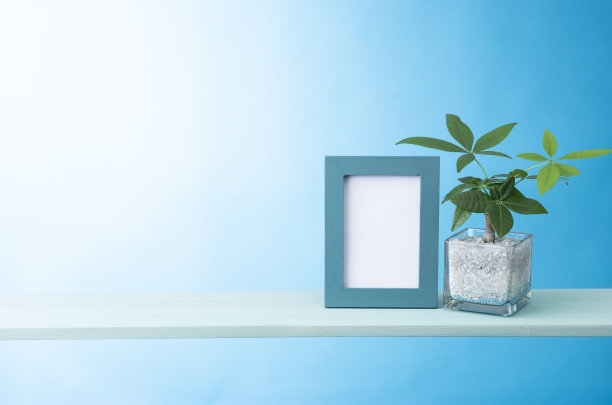 观叶植物图片下载