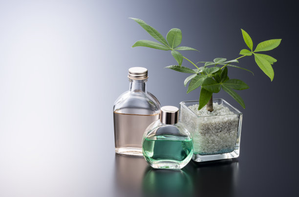 观叶植物图片下载