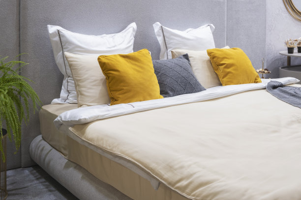 时髦的室内现代房间与舒适的床图片下载