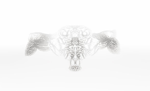 一只猫头鹰的3d插图图片下载