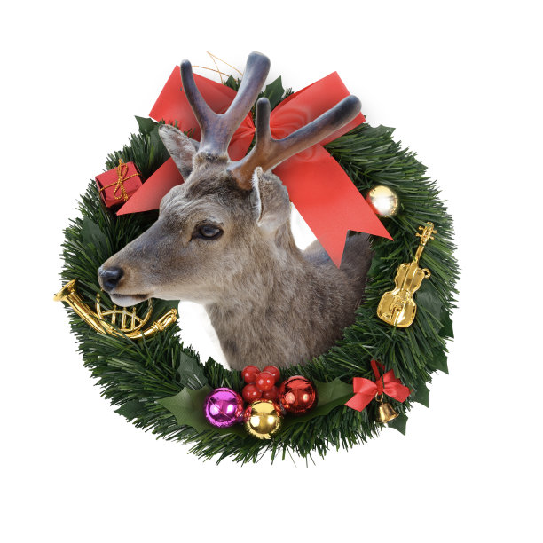 鹿从圣诞花环中露出它的脸。图片下载