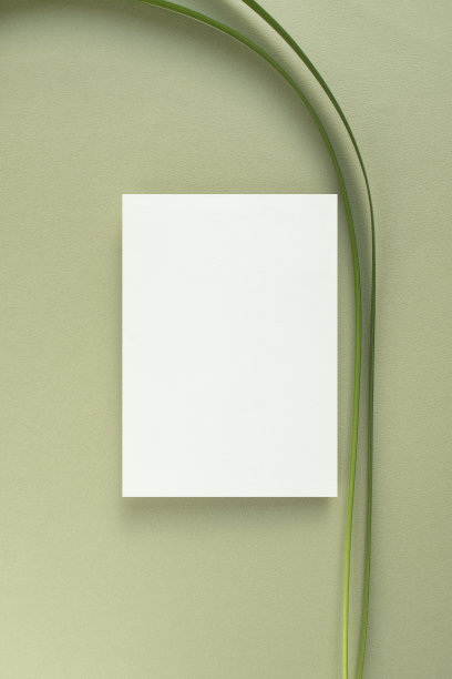 鲜花和卡片模型图片下载