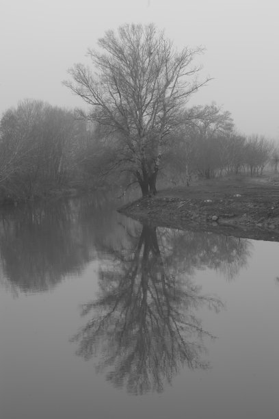 雾天，树和水的倒影，埃迪尔内，土耳其。图片下载