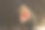 一位帅哥在莫斯科公园庆祝圣诞节图片下载