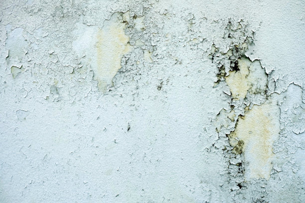 旧混凝土墙背景上的霉菌、真菌和白色剥落绘画，适合演示和背景。图片下载