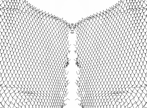 金属丝栅栏或金属网日落背景。孤立的白色背景。网上有洞。钢丝网围栏，拉比茨网。插图。图片下载