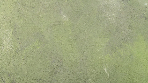 抽象的绿色背景。垃圾质感的油漆表面。土绿色灰泥质地。可持续的生活方式图片下载