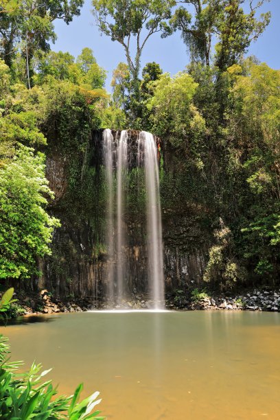 Millaa Milla瀑布由Theresa Creek坠入水池形成。澳大利亚昆士兰州- - 292图片下载