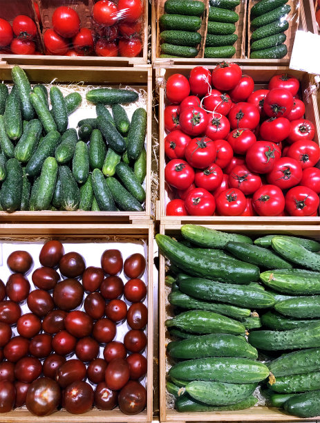 在市场上买蔬菜(黄瓜，西红柿，洋葱，辣椒，茄子，西葫芦)图片下载