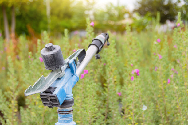 喷枪用于园林中心植物、工业植物的栽培、护理。图片下载