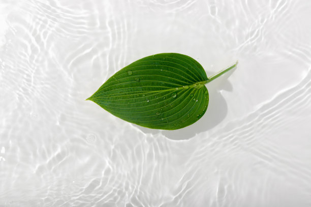绿色的叶子在蓝色的水背景特写。白色纹理表面有环和波纹。平铺，俯视图，复制空间。图片下载