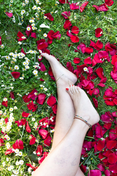 垂直图像无法识别的赤脚妇女的腿，红色的指甲和脚环上的草和玫瑰花瓣。复制空间。图片下载